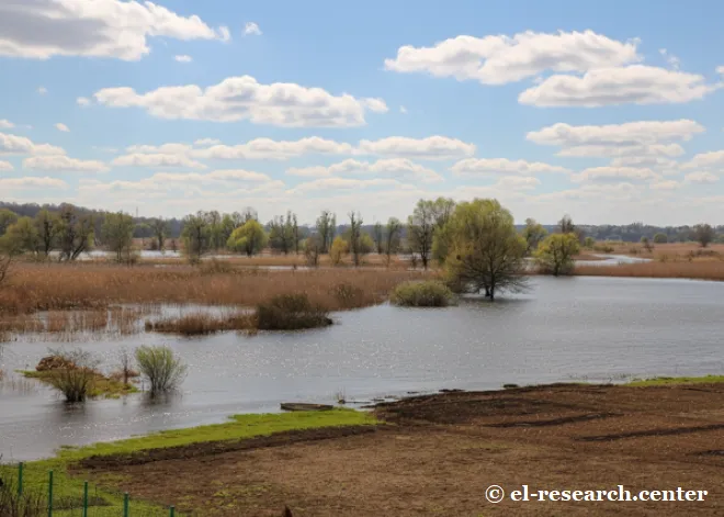 Річка Сула